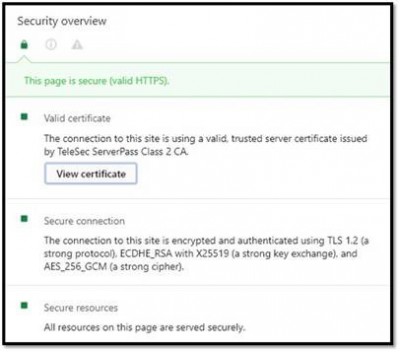 Security pane in the development tools (F12)
